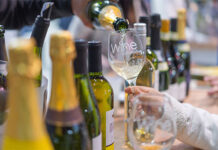 Wine South America terá masterclasses com curadoria da ABS-RS