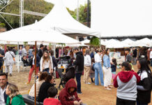 Parque do Ibirapuera recebe neste mês a 2ª edição do Festival Criativo