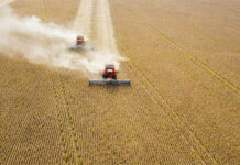 BASF leva ao Show Rural Coopavel 2024 oferta conectada de soluções