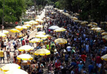 Bloco da Latinha MIX terá suas emissões de carbono neutralizadas pela Prospera + Greener