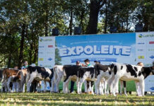 ExpoLeite Arapoti realiza sua 50ª edição entre 11 e 13 de julho de 2024