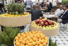 Fruit Attraction São Paulo 2024 projeta movimentar milhões em negócios em sua estreia