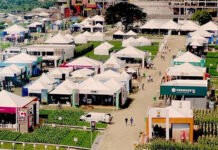Show Tecnológico de Verão ABC 2024 traz as mais recentes inovações do agronegócio