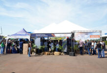 Feira Agropecuária de Campo Mourão 2024 tem início hoje