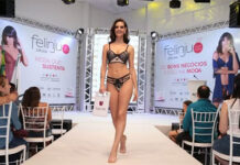 Felinju traz novidades e atrações exclusivas em sua edição 2024