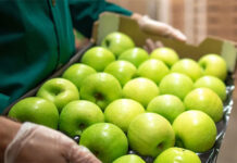 ApexBrasil abre inscrições para participação na edição inaugural da Gulfood Green 2024