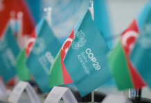 Netza&CO anuncia vertical focada em eventos internacionais de sustentabilidade