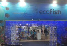 EcoFish Brasil anuncia que terá segunda edição em Belo Horizonte