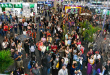 Sebrae-SP abre oportunidade para expositores de todo o Brasil na Feira do Empreendedor 2024