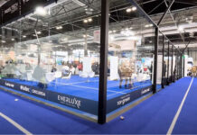 FITUR Sports anuncia sua terceira edição para definir o futuro do turismo esportivo