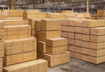 5º Woodtrade Brazil 2024 destaca potencial da indústria madeireira