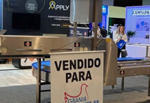 AveSui 2025 já começou sua preparação para outra grande edição