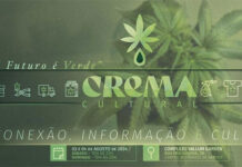 1ª Feira Canábica do Litoral Paulista chega com palestras, exposições e shows