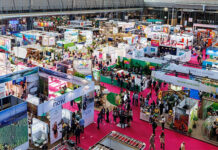 Embratur promove destinos brasileiros sustentáveis e diversos na IFTM Top Resa