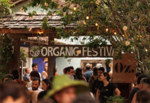 Organic Festival Trancoso celebra sua quinta edição em 2024