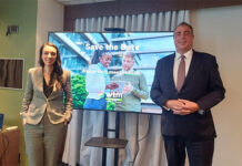 WTM Latin America 2025 tem previsão de expansão de 10% na planta e novas áreas