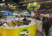 Feiras no exterior impulsionarão exportações de empresas do Frutas Brasil em 2025