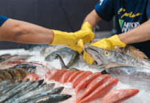 Seafood Show LA 2024 será palco do concurso “Os Melhores Peixeiros do Brasil”