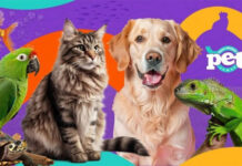 Bahia Eventos prepara a realização da Expo Mundo PET em 2025