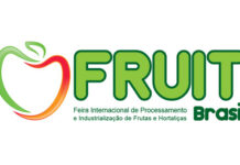 Fruit Brasil é lançada oficialmente e acontecerá em 2025