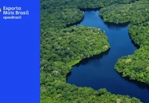 ApexBrasil Promove Sustentabilidade e Negócios Internacionais na Região Amazônica