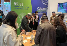 Café Show Seoul 2024 pode conhecer ainda mais da qualidade do produto brasileiro