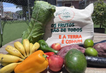 Santos recebe Festival de Agroecologia, Ecoturismo e Economia Solidária