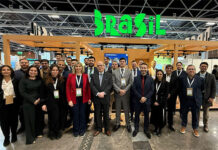 Hyvolution 2025 foi inspiração para empresas brasileiras do setor