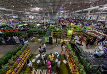 Holambra recebe nova edição de feira de negócios com flores e plantas ornamentais