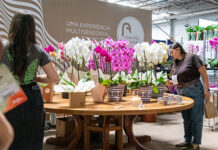 Veiling Market 2025 movimentou R$ 100 milhões e antecipou tendências do setor de flores
