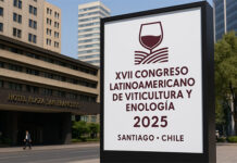 Congresso Latino-Americano de Viticultura e Enologia 2025 será em novembro no Chile