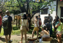 Pavilhão Japonês do Pq. Ibirapuera recebe o Hachimitsu Matsuri 2025