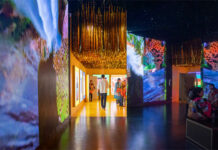 Pavilhão Brasil na Expo 2025 Osaka ultrapassa marca de 100 mil visitantes