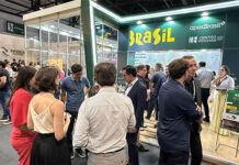 Marmomac Brazil 2025: setor de rochas projeta mais de US$ 18 milhões em negócios após Rodada