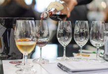 Wine SA 2025: Associação Brasileira de Sommeliers do RS assina curadoria do Espaço Masterclass