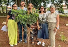 Grupo MM expande iniciativas sustentáveis em eventos