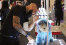 Expovet Minas 2025 traz grandes nomes do mercado pet em Belo Horizonte