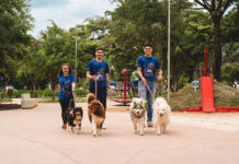 Expo Center Norte amplia práticas ESG com parceria junto ao Instituto RedDogs