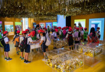 Semana do Brasil na Expo 2025 Osaka com música brasileira, cultura, diversidade e sustentabilidade