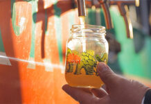IPA Day São Paulo 2025 define lineup de cervejas e bandas