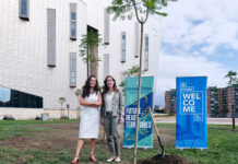 FYCMA e Prefeitura de Málaga lançam projeto de reverdecimento para áreas externas da venue