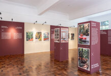 Ainda dá tempo de conferir a exposição “CASACOR e o Parque”