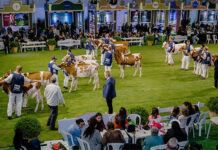 Organização atende pedido e ExpoFrísia tem nova data a partir de 2026