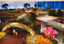 Festa das Flores de Joinville 2025 celebra tradição com edição mais florida da história