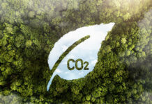 A conferência que virou laboratório: como a COP30 pode inspirar os eventos em 2026
