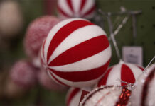 Visitantes já podem se credenciar para conhecer as novidades da Celebra Show 2026