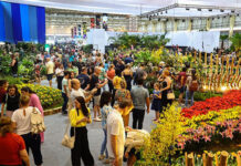 Festa das Flores de Joinville 2026 tem vendas abertas de estandes