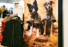 Nova feira spoga dog estreia em 2027 e amplia portfólio da Koelnmesse