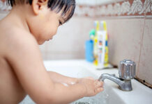 Fit Pueri Expo destaca avanço de produtos naturais e amplia vitrine do mercado infantil no Brasil