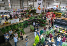 Veiling Market 2026 antecipa tendências de flores e plantas